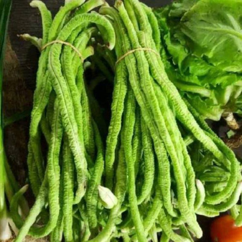 Benih kacang panjang keriting/kacang panjang taiwan high quality 250 gram