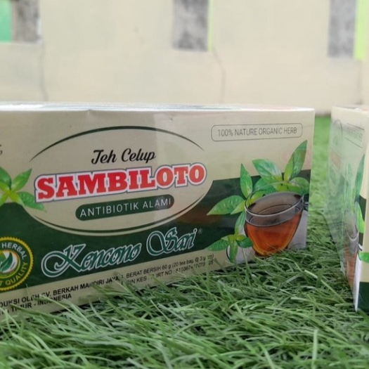 

KENCORO SARI TEH CELUP SAMBILOTO ANTIBIOTIK TERBAIK