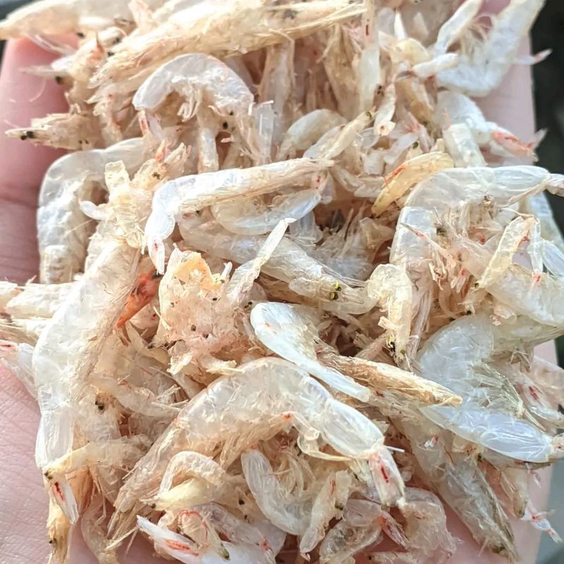 

250GR UNDANG PAPAI BESAR