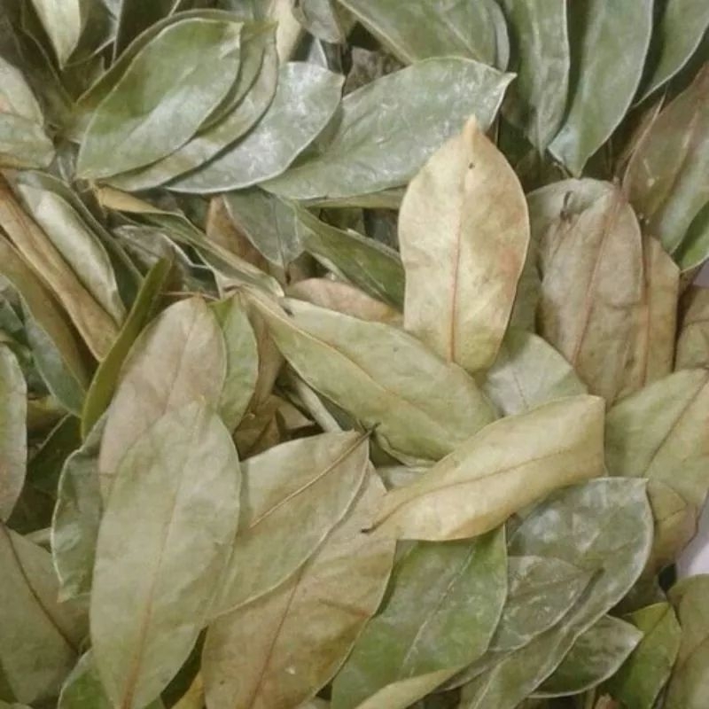 

Daun Sirsak 1kg