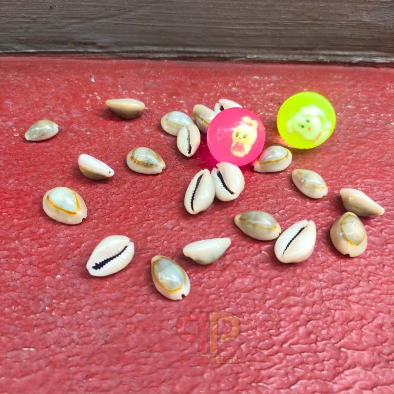 SET BOLA BEKEL ISI 10PC BIJI KERANG ASLI