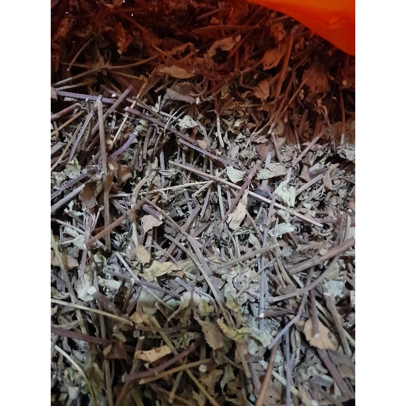 

Daun kumis kucing kering 100gram herbal