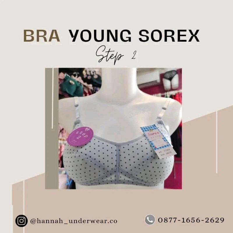BRA Young Sorex step 2