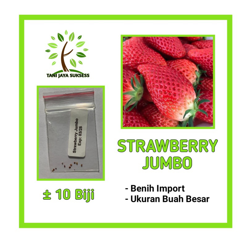 10 Benih Strawberry Jumbo Benih Buah Strawberry Jumbo Unggul Berkualitas