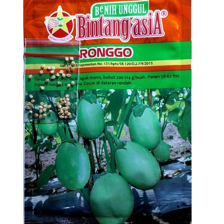 30 butir benih terong ronggo hijau