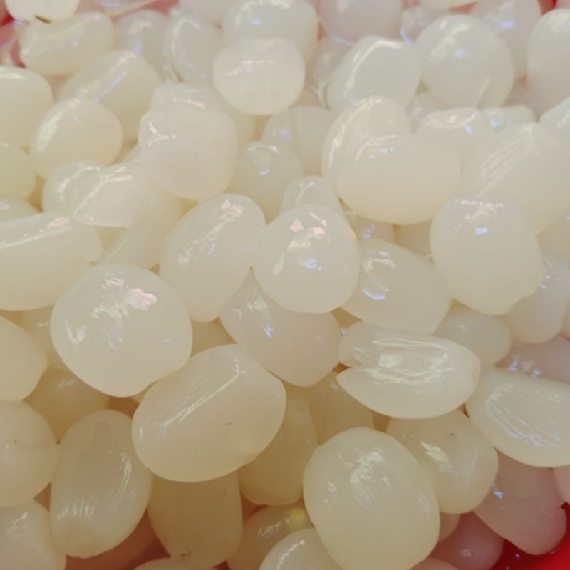

Kolang Kaling Segar 1 Kg