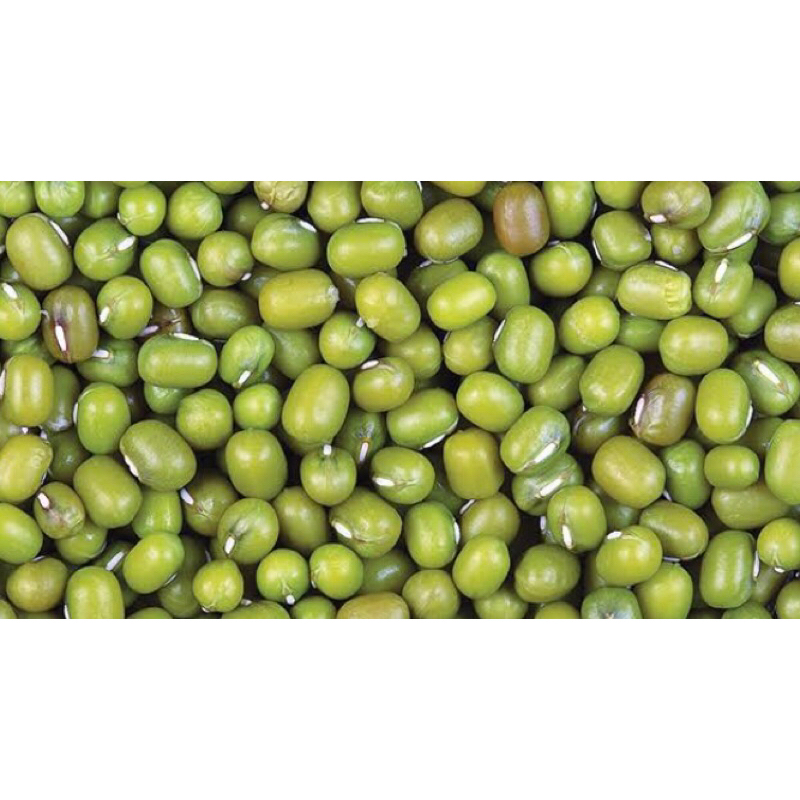 

KACANG HIJAU 1/4 FRESH