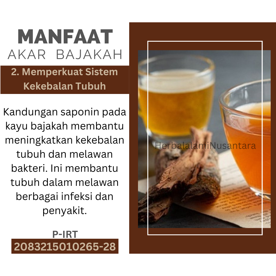 

p4yu TEH KAYU BAJAKAH PREMIUM ASLI KALIMANTAN EKSTRAK AKAR BAJAKAH TEH AKAR BAJAKAH ORINAL UNTUK