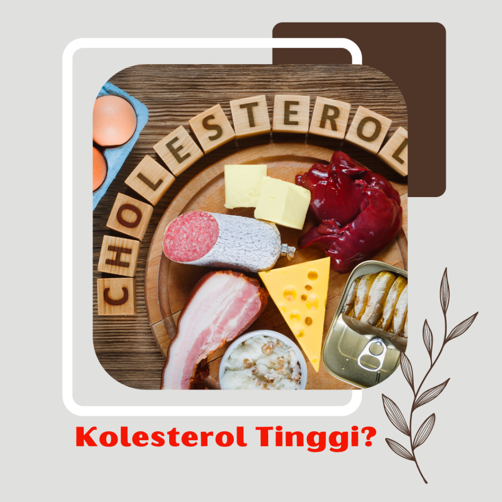

Kolesterol Tinggi Teh Herbal Herbivia: Solusi Penurun Kolesterol Alami! Penurun Kolesterol Herbal Terpercaya, Herbal Penurun Lemak Darah