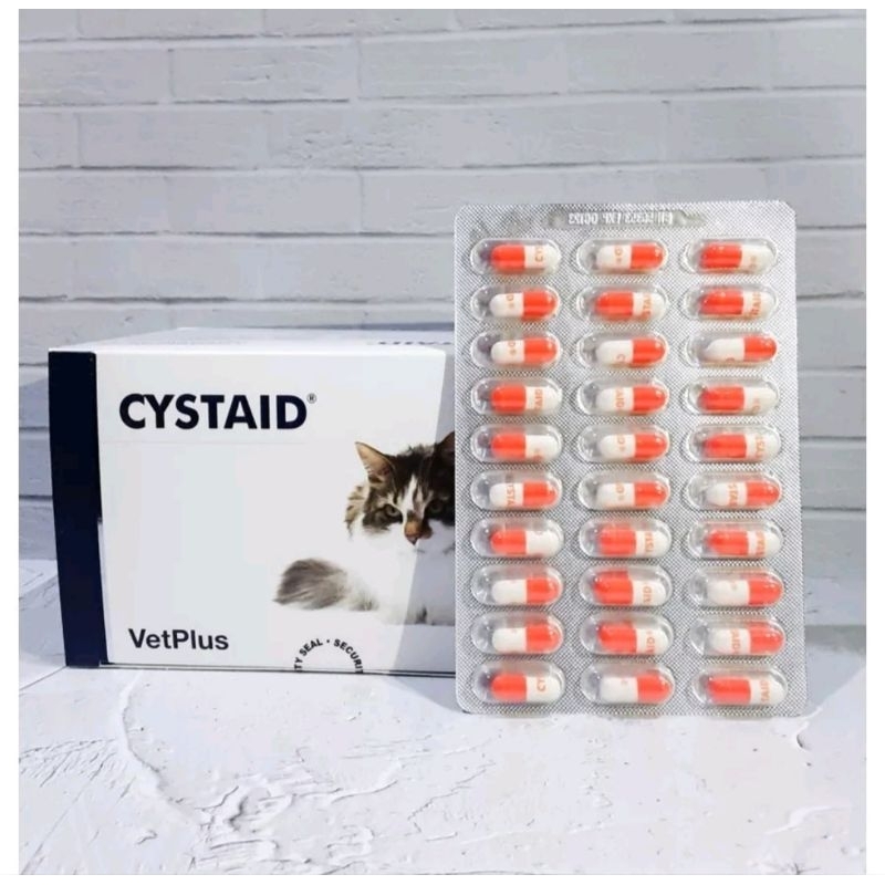 Cystaid cat plus for cat per kapsul ORIGINAL