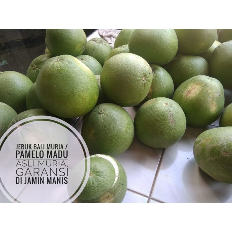 

QUEEN BUAH - JERUK BALI MADU/PAMELO