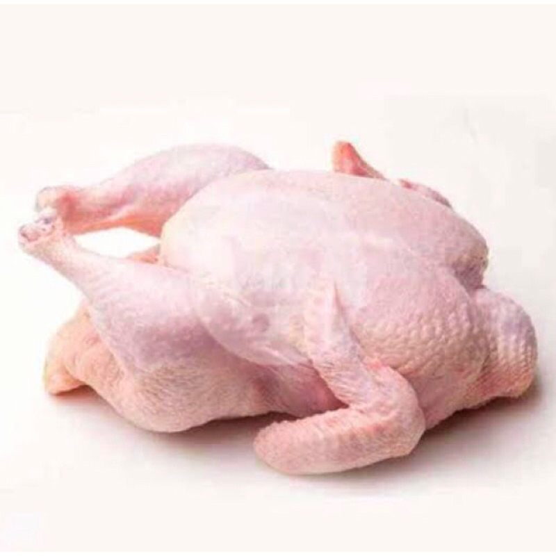 

AYAM UTUH 1KG /lebih FRESH