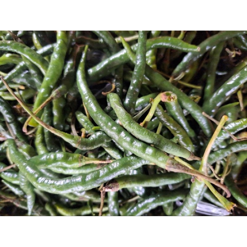 

Cabai Hijau Keriting 250gr