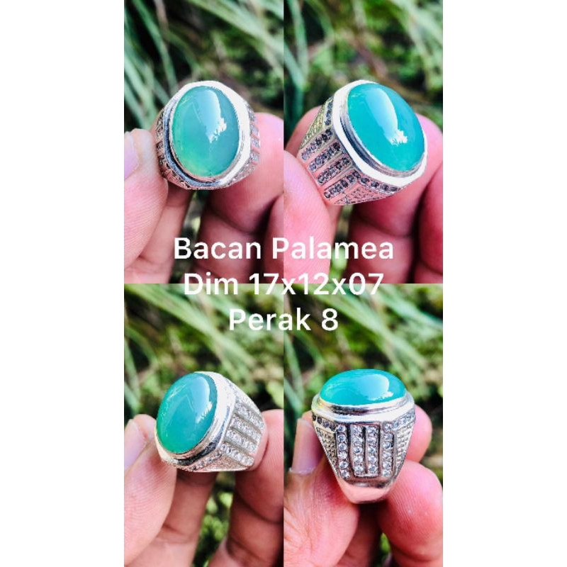 bacan palmea natural