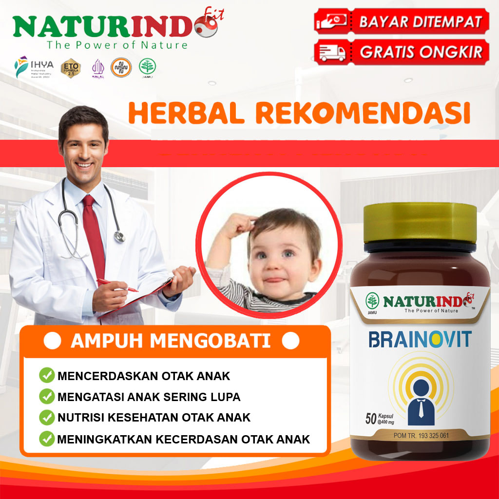 Nutrisi Kecerdasan Otak Anak Pencerdas Daya Ingat Otak Anak dengan Brainovit Vitamin Dan Nutrisi