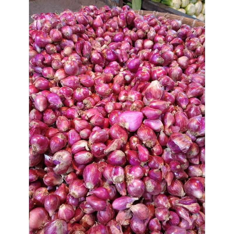 

bawang merah/250g