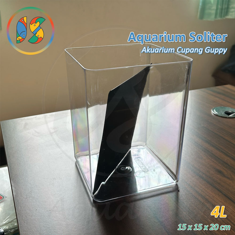 Aquarium Cupang Paxton 4 Ltr Akuarium Soliter Ikan Cupang Guppy