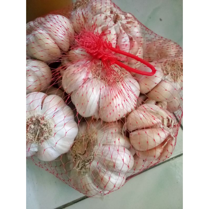 

Bang putih 1/2kg