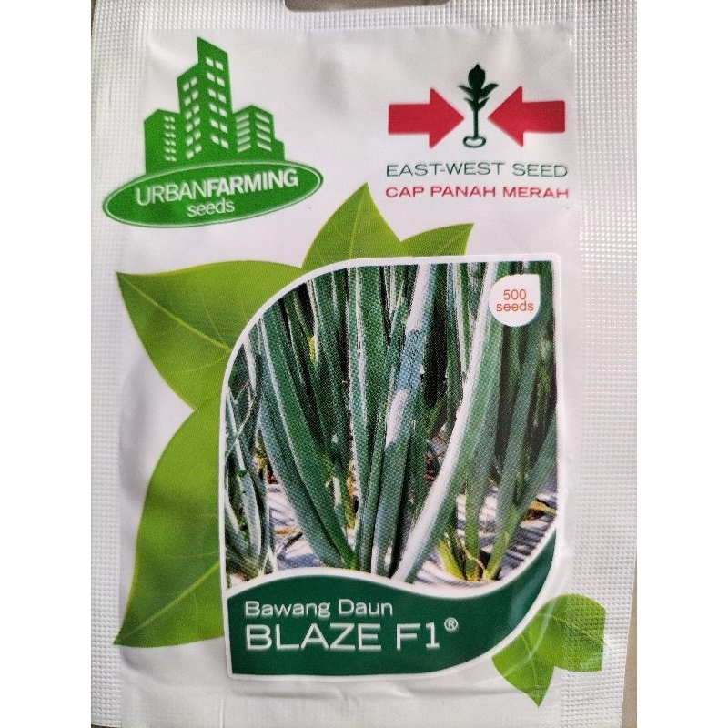 BENIH BIBIT DAUN BAWANG BLAZE CAP PANAH MERAH ISI 500