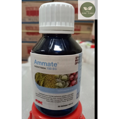 Insektisida ammate 100ml