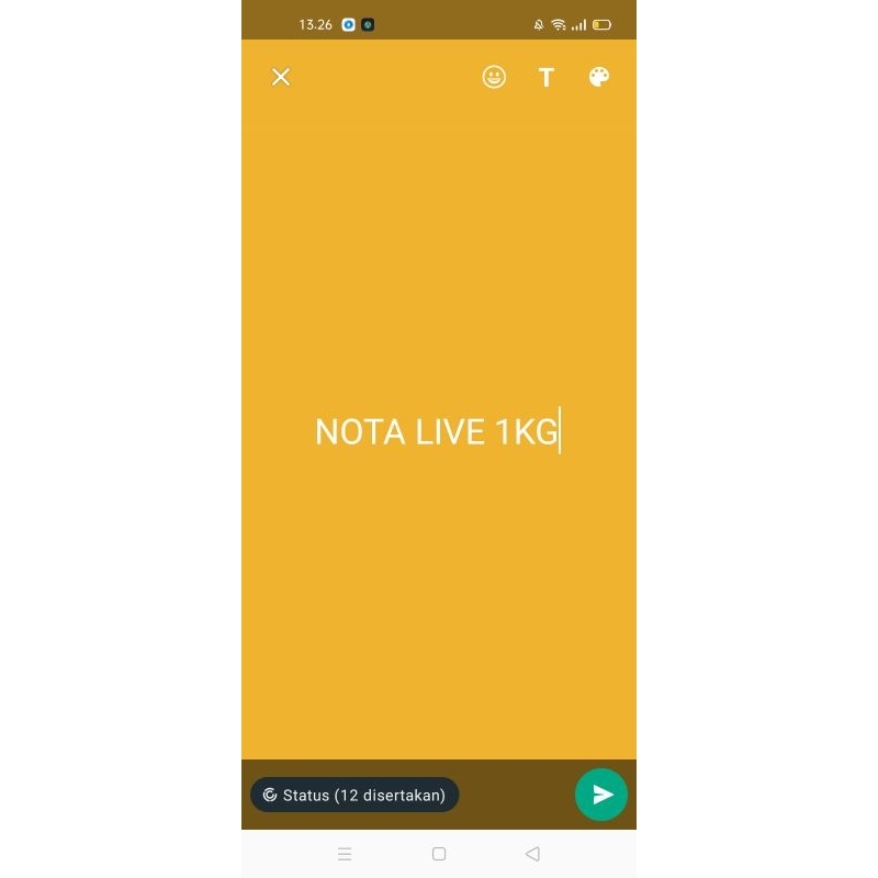 

link co saat live baju anak