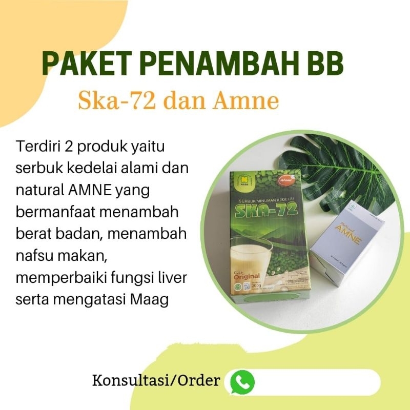 

EXP 10-2025 / SKAO NASA - Serbuk Kedelai Nasa - Susu Penggemuk Badan -
