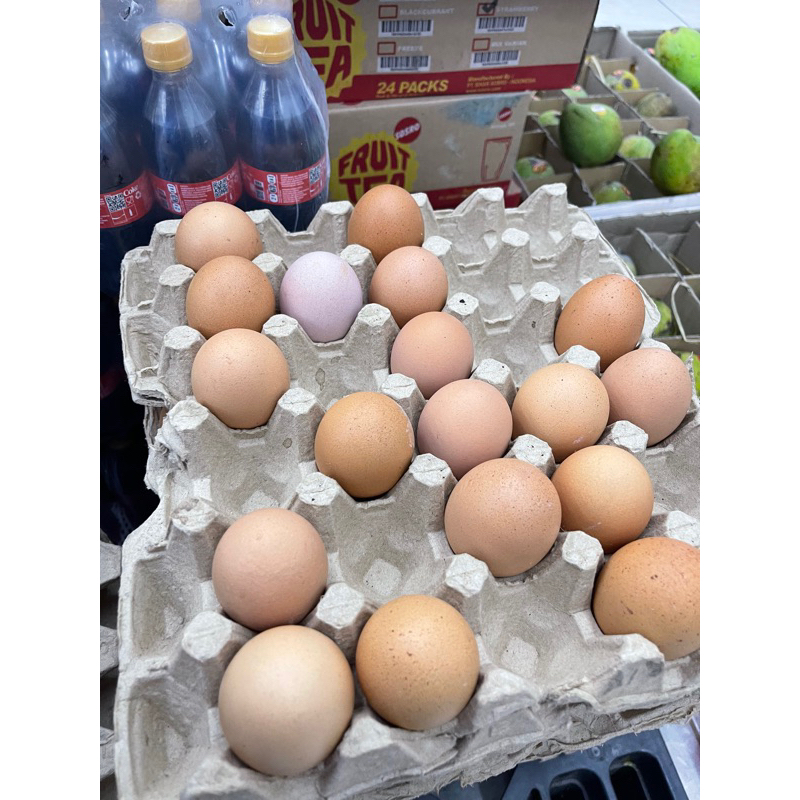 

TELUR AYAM INSTAN KURIR