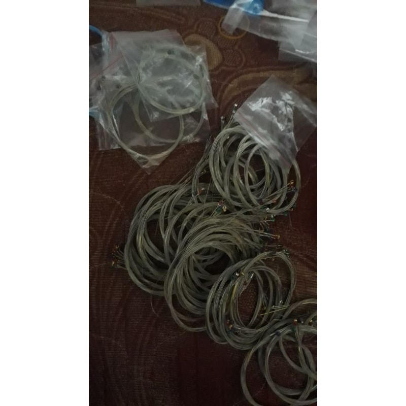 senar gitar elektrik D'adario ujung gold