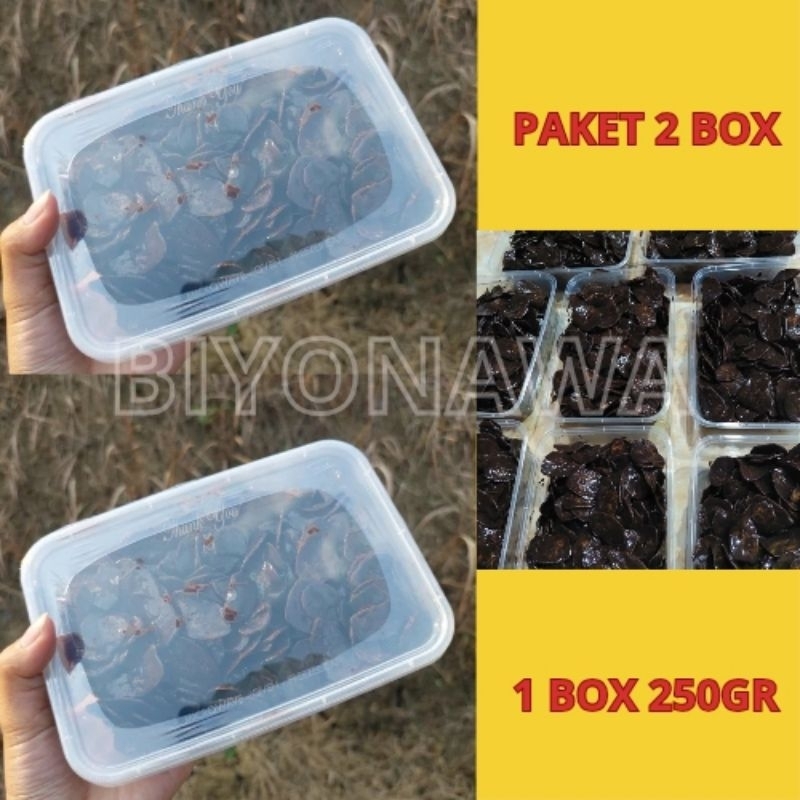 

BUNDLING 500g KRIPIK PISANG COKLAT LUMER 2 BOX