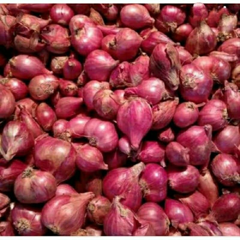 

Termurah Bumbu Dapur Bawang Merah Brebes Super 1 kg