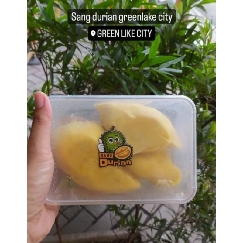 

Sang Durian Durian Montong Palu Parigi