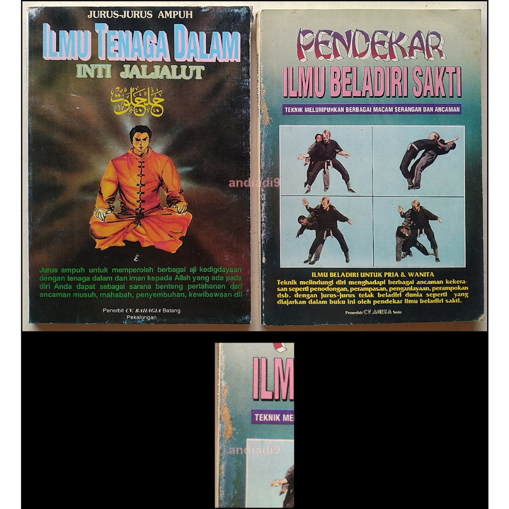 ILMU TENAGA DALAM INTI JALJALUT PENDEKAR ILMU BELADIRI SAKTI JOKO SUBROTO TERKELUPAS