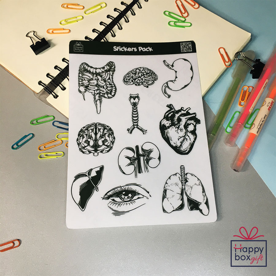 

10Pcs STICKER TRANSPARAN STIKER PACK AESTHETIC HUMAN BODY ORGAN