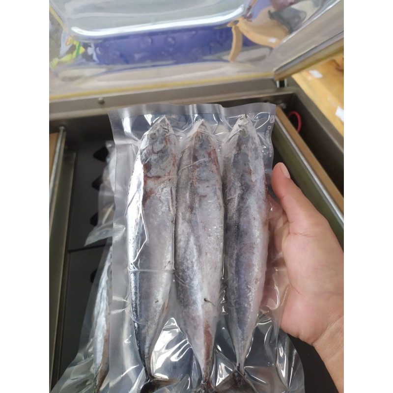 

Ikan Tongkol Deho RJ Fish