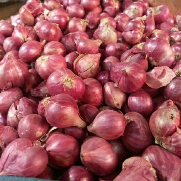 

bawang Merah lokal probolinggo