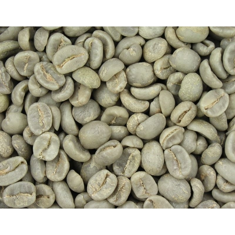 

kopiArabica