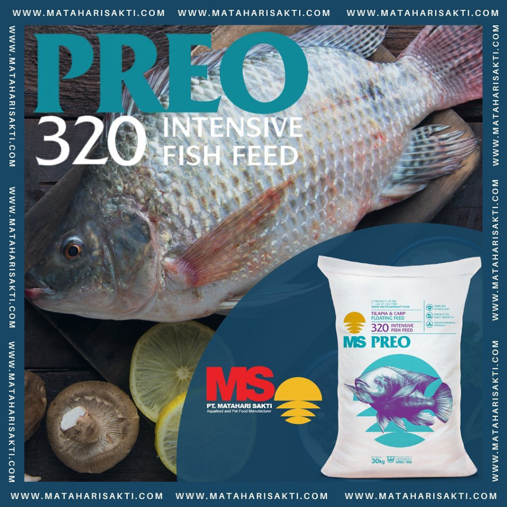 Pakan Pelet Apung Ikan Nila MS PREO 320 15Kg 15 Kg No.1 No.2 No.3 Intensive Fish Food Hi Protein