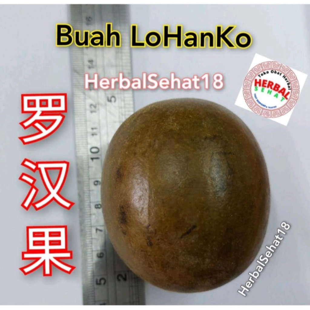 

(Minimal Order 4 Biji) Lo Han Ko Ukuran Sedang Lohanguo / Lo Han Guo / Lohankuo Buah Lo Han Kuo Perbiji / Lohanko / Luohanko Luohanguo Luo han Guo Bukan Buah Lontar