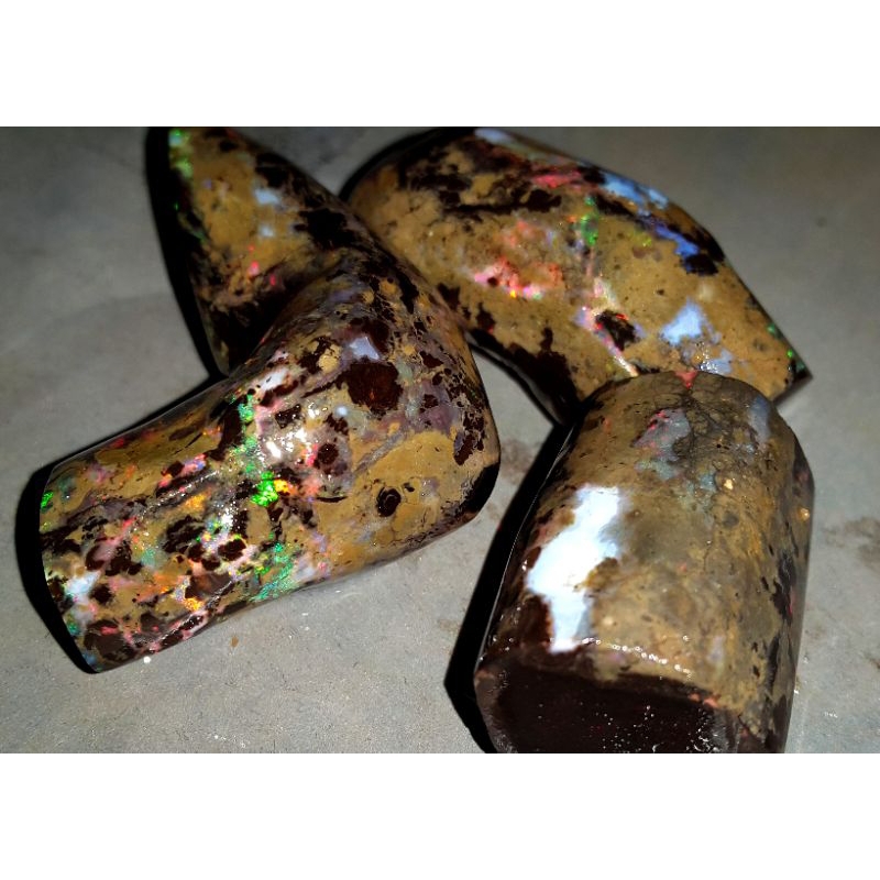 PAKET BLACK OPAL SEMPUR BANTEN #21