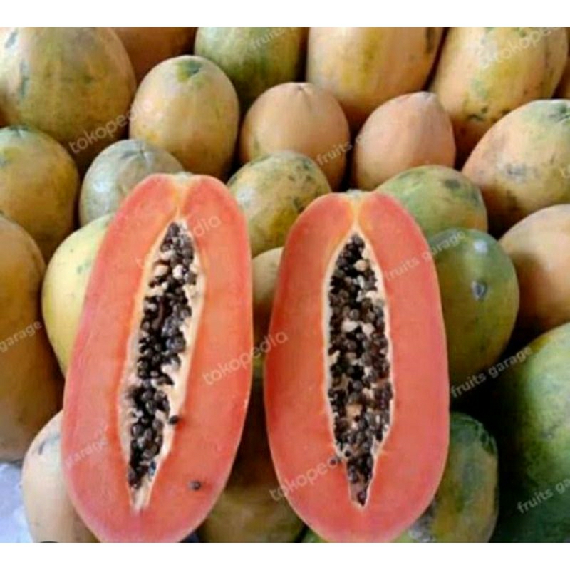 

pepayak california super manis fresh 1buah