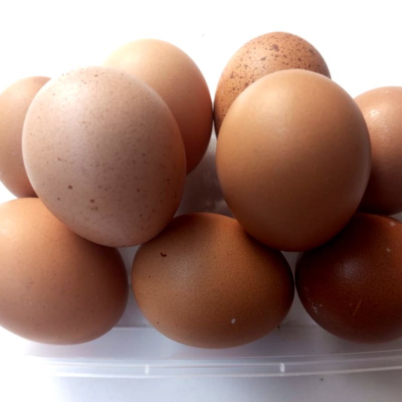 

Telur Ayam Berat 250 gram