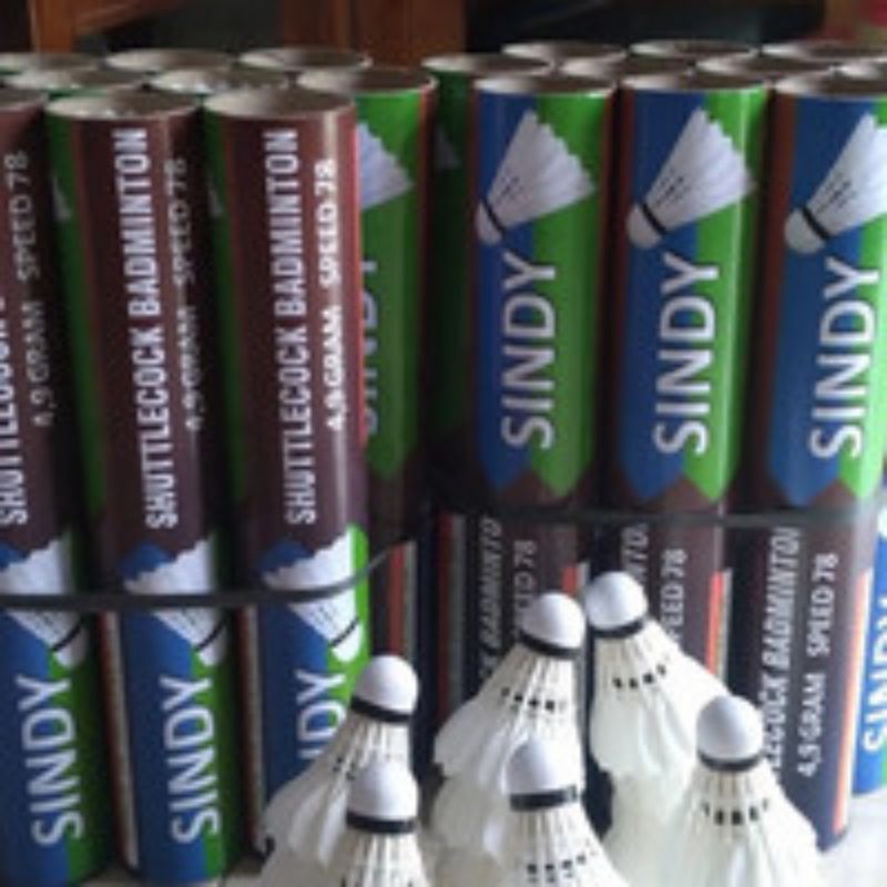 shutlecock sindy