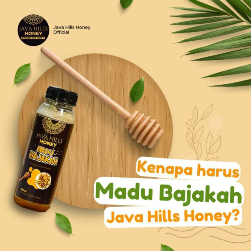 

Madu Bajakah herbal