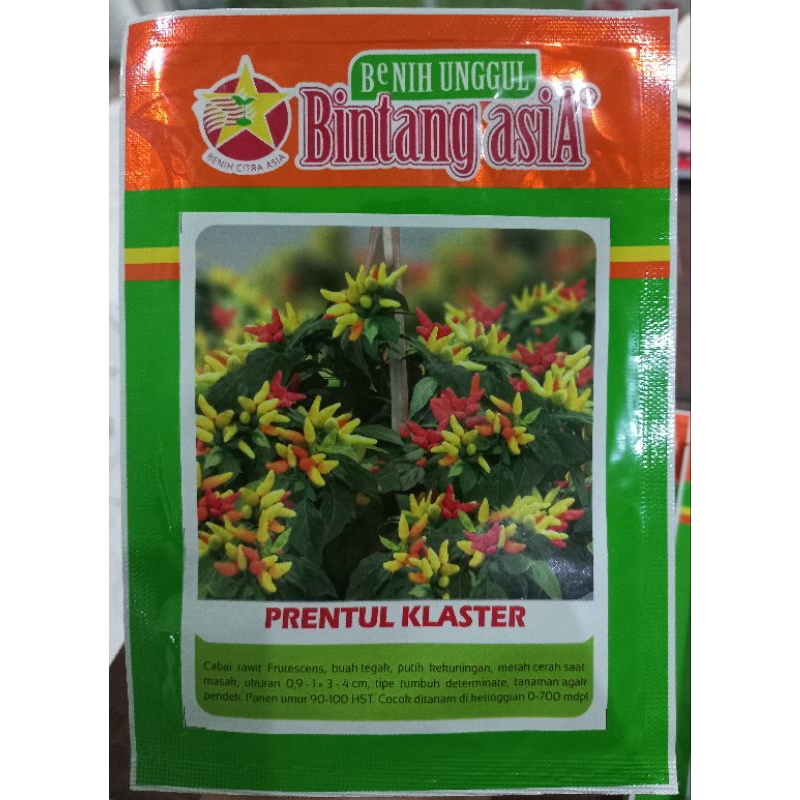 Benih cabe rawit PRENTUL KLASTER 10 Gram Bintang Asia