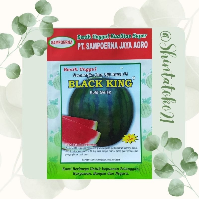 TERMURAH Benih semangka non biji BLACK KING kulit gelap *isi 300 biji*