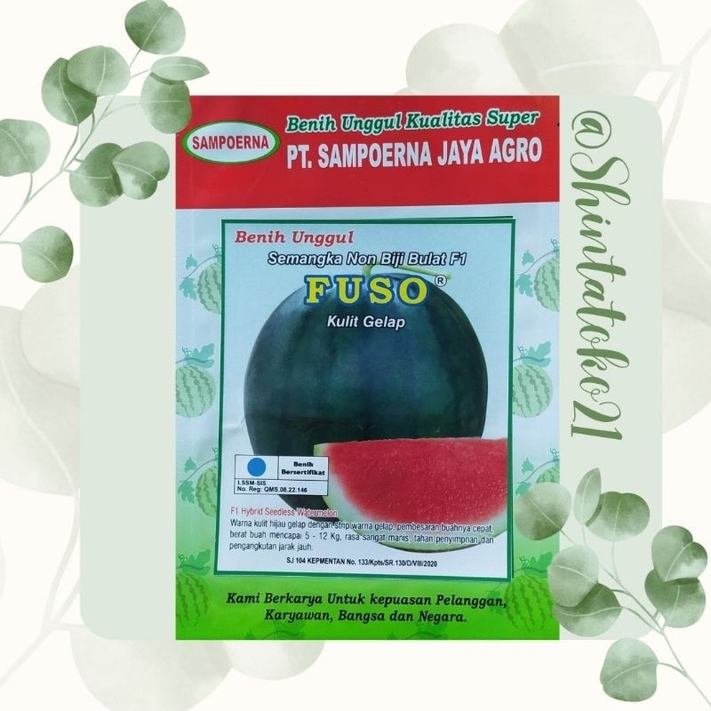 TERMURAH Benih semangka non biji FUSO kulit gelap *isi 300 biji*