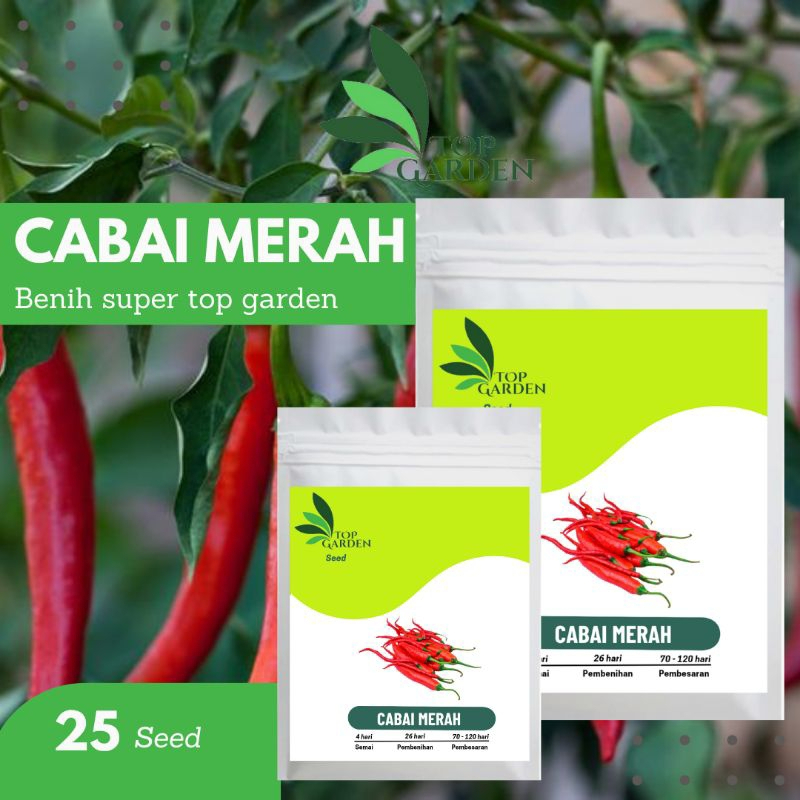 TOP GARDEN BENIH SUPER CABAI MERAH BESAR BIBIT CABE MERAH BESAR