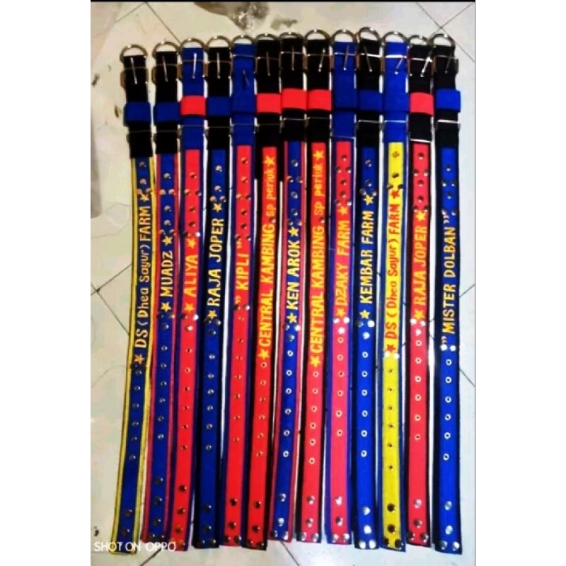 KALUNG KAMBING