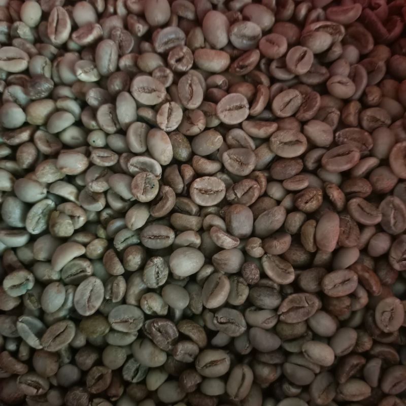 

Green Bean Robusta Temanggung Grade 1 - 500 Gram