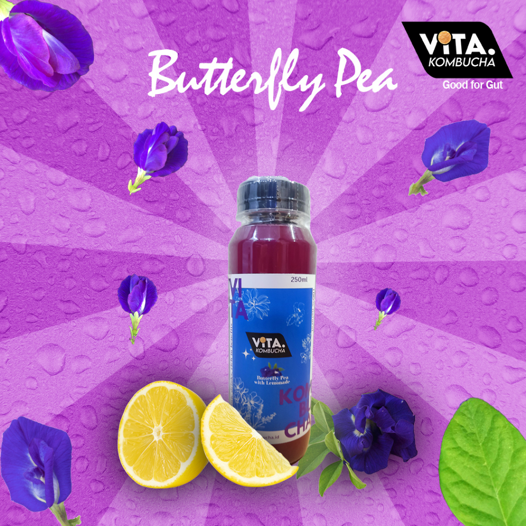 

Vita Kombucha butterfly pea with lemonade 250ml